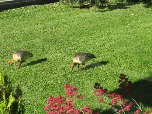 Posada Alto Verde Hoster�a
