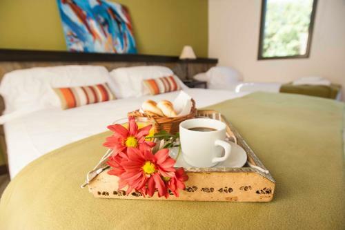 Bed & Breakfast Hotel Las Chirimoyas