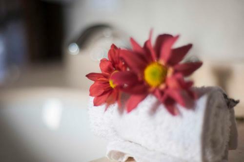 Bed & Breakfast Hotel Las Chirimoyas