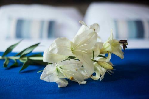 Bed & Breakfast Hotel Las Chirimoyas