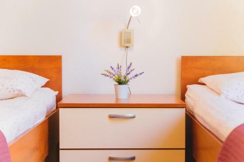 Apartamentos Villa Spalatina