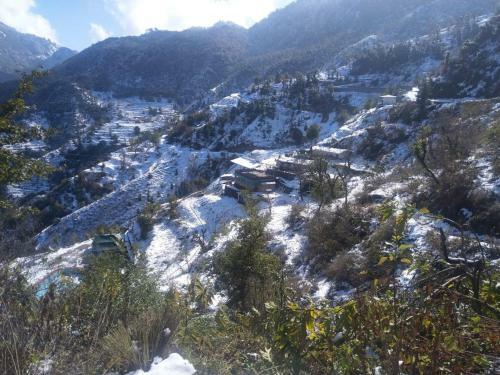 Mussoorie Camp Resort