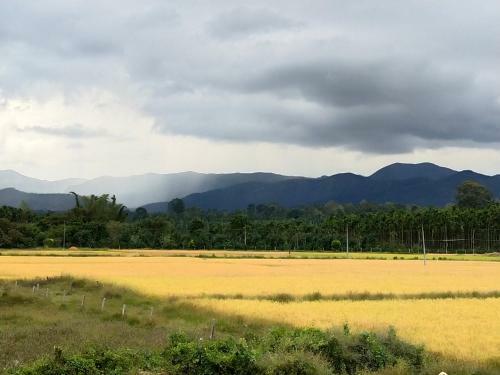 Comfy Homestay, Coorg, Kodagu