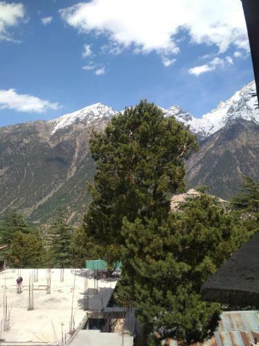 The Alpine Nest Hotel