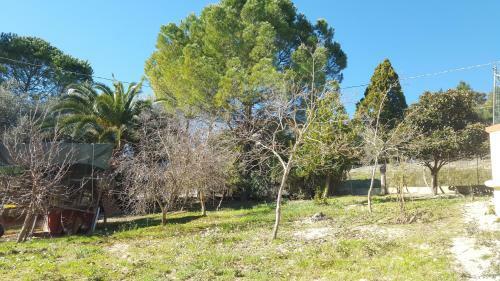 Bed And Breakfast Da Pietro