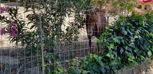 Bed And Breakfast Da Pietro