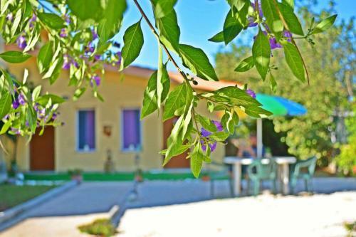 Hostal Dependance Miluna