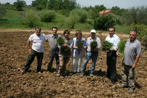 Bed & Breakfast Tenuta Martino