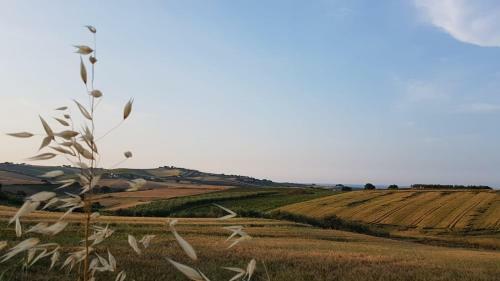 Agroturismo L'ulivo Bianco