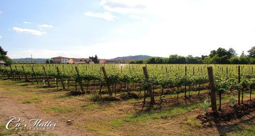Agroturismo Agriturismo Ca'mattei