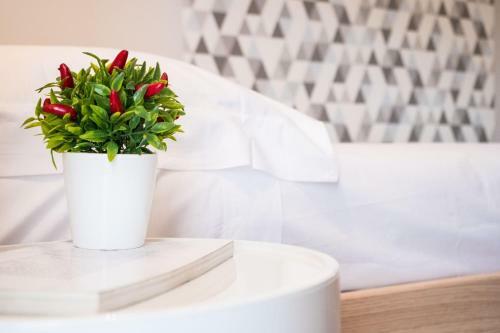 Hotel C� Dell'ebbro