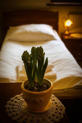 Hostal Miasteczko Galicyjskie