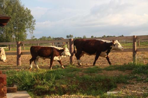 Agroturismo Kfh Olgino