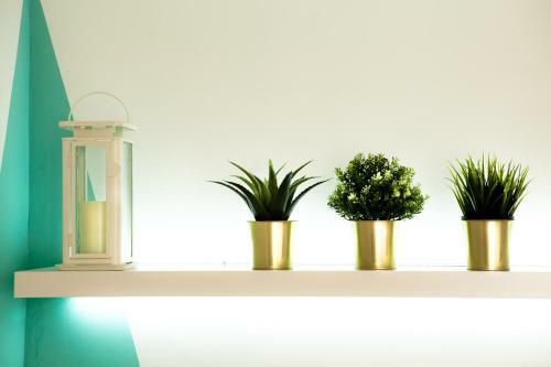 Apartamento Ecoloft Studio