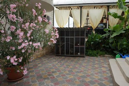 Hostal Guest House Viktoriya