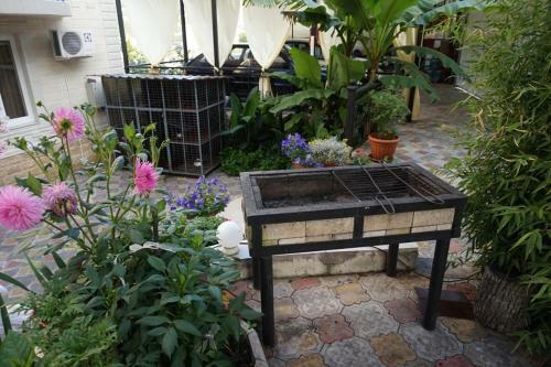 Hostal Guest House Viktoriya