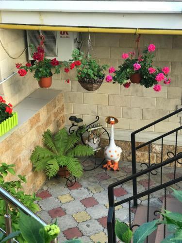 Hostal Guest House Viktoriya
