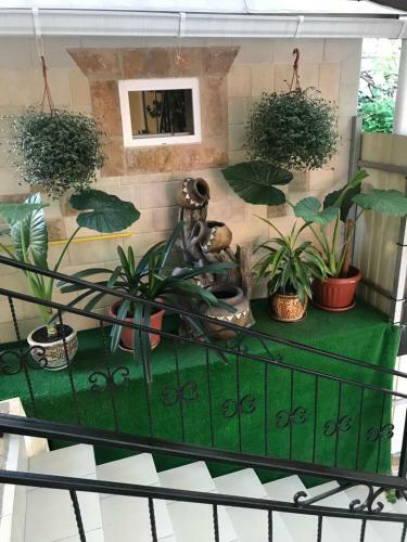 Hostal Guest House Viktoriya