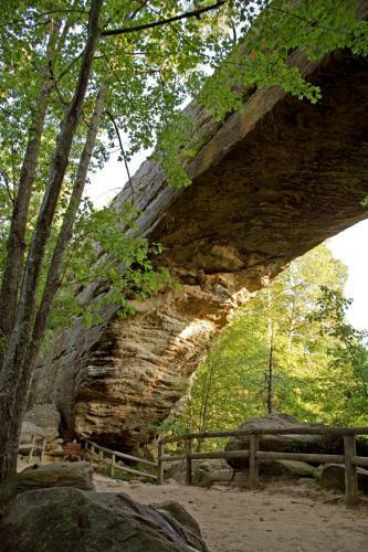 Natural Bridge State Resort Park