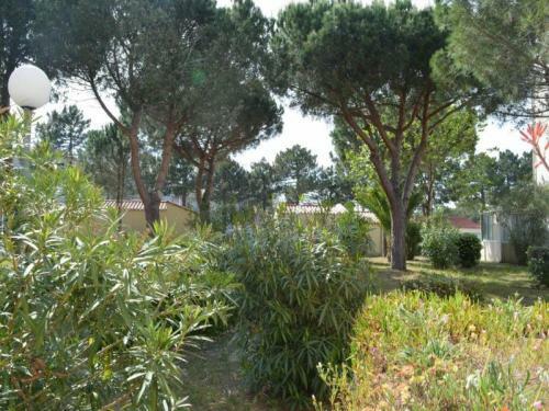 Apartment Boramars 4