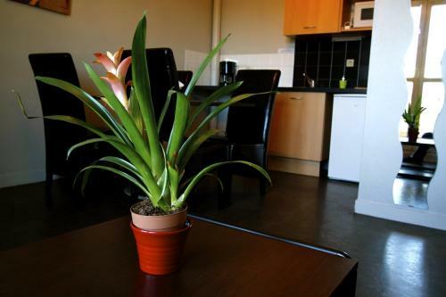 Aparthotel Appart'hotel Les Palatines