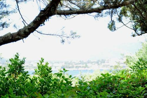 Hotel Private H�tel