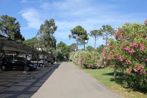 Aparthotel R�sidence Paese Serenu