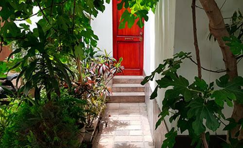 Estudio En Miraflores