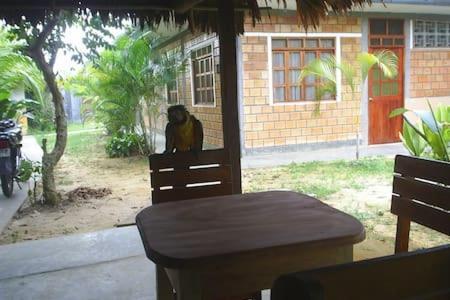 Bed & Breakfast Amazonia Guest House