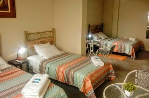 Bed & Breakfast Diamond Monkey Lodge