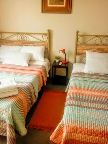 Bed & Breakfast Diamond Monkey Lodge