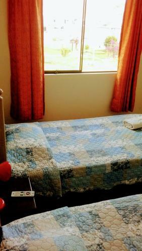 Bed & Breakfast Diamond Monkey Lodge