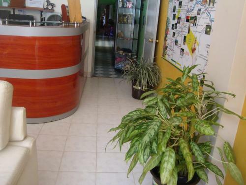 Bed & Breakfast Lucas Hotel
