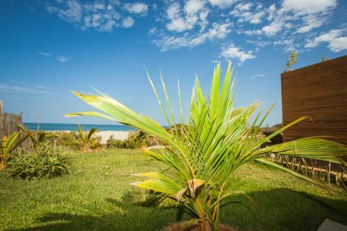 Bed & Breakfast Casa Safran Vichayito