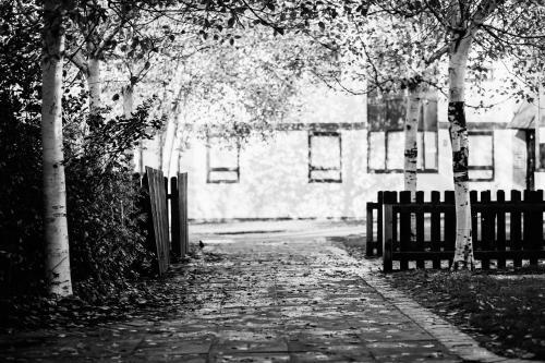 Albergue Dcu Larkfield