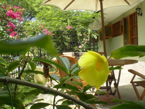 Hotel Punta Sal Bungalows