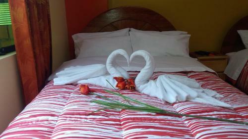 Posada Hostal Cusi Qoyllor