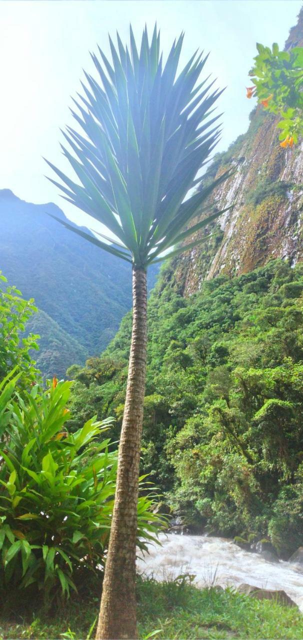 Hotel Machupicchu Guest House