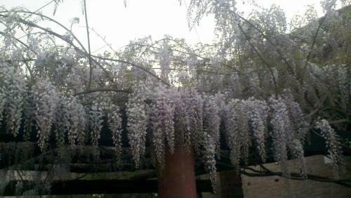 Bungalows Portal Pind�