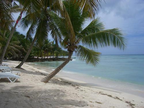Hotel Bayahibe