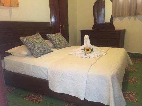 Hostal Hotel Boutique Oasis Colonial
