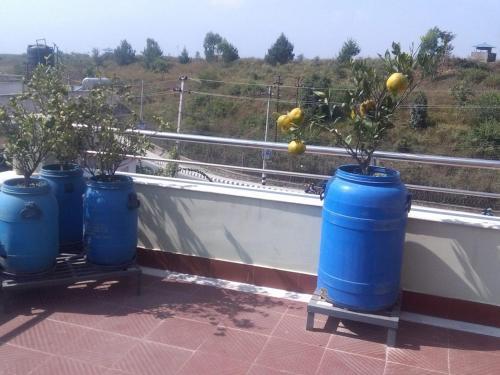 Hostal Memorable Homestay