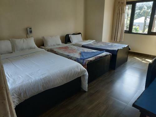 Bed & Breakfast Hotel Trekkers Lodge