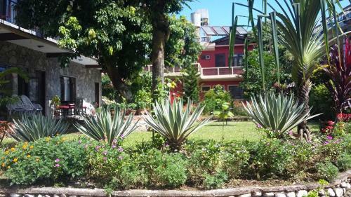 Bed & Breakfast Hotel Trekkers Lodge