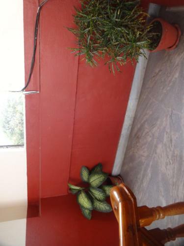 Bed & Breakfast Hotel Trekkers Lodge