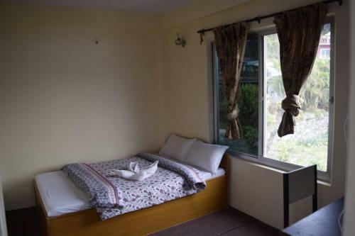 Albergue Forestway Guest House