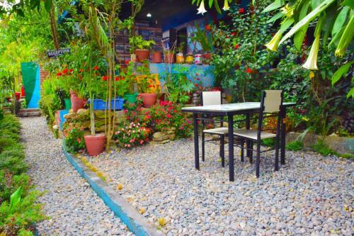 Albergue Forestway Guest House