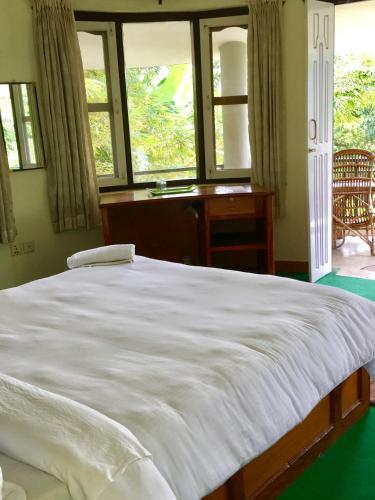 Hotel Hidden Paradise Guest House