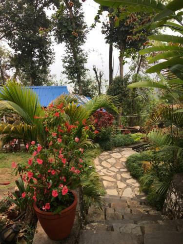 Hotel Hidden Paradise Guest House