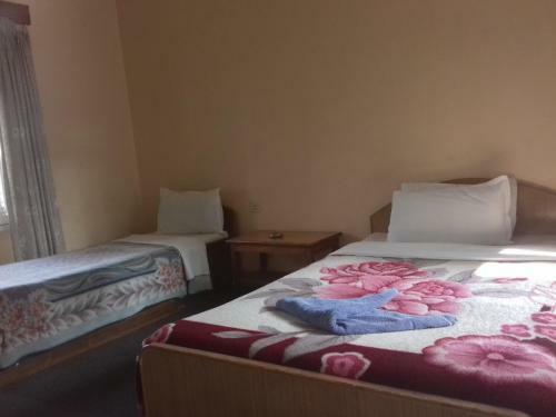 Hostal Millennium Guesthouse